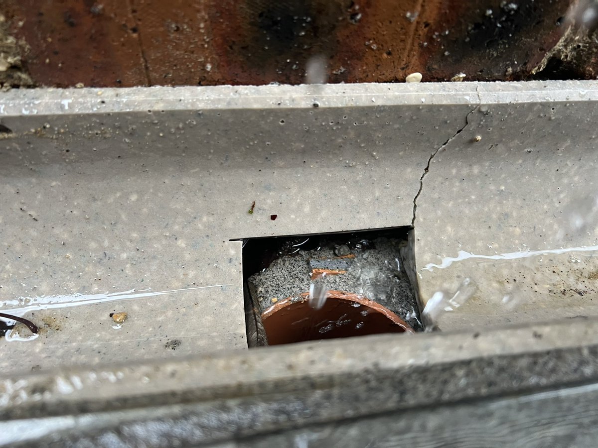 GKWilsonGardens's tweet image. 2 of my pet hates right there…. Downspout not piped directly in to the channel drain and and a random hole cut into the channel drain and water collecting near the building which could cause damp. #landscapingexpert #gardenexpert #contractorissues