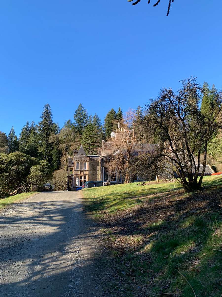 ParsonsGreenPrimary tweet media