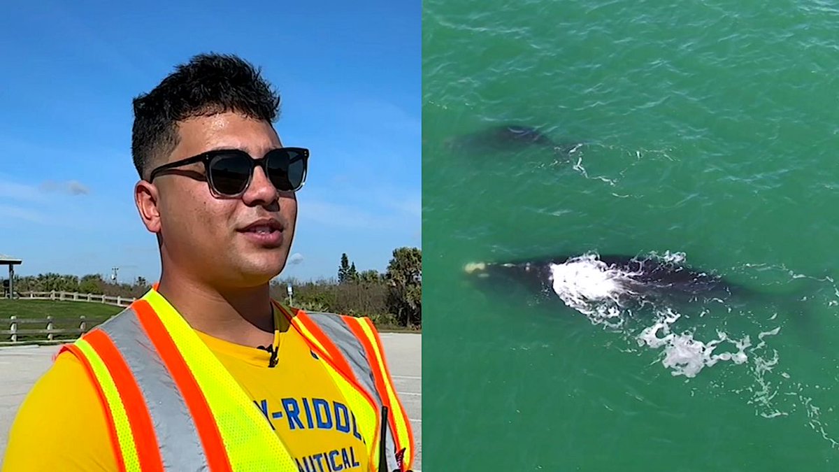 DroneProsOrg's tweet photo. Embry-Riddle students using drones to track rare whales Drones keep tabs on Right whales https://t.co/Ufn3z8O2Sn https://t.co/4pvEDJbuOE