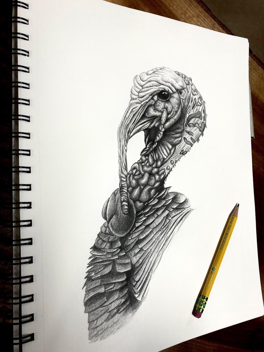 Turkey drawing I’m working on 👌🏻 #turkey #hunting #nwtf <a href="/NWTF_official/">The National Wild Turkey Federation</a> <a href="/MossyOak/">Mossy Oak</a>