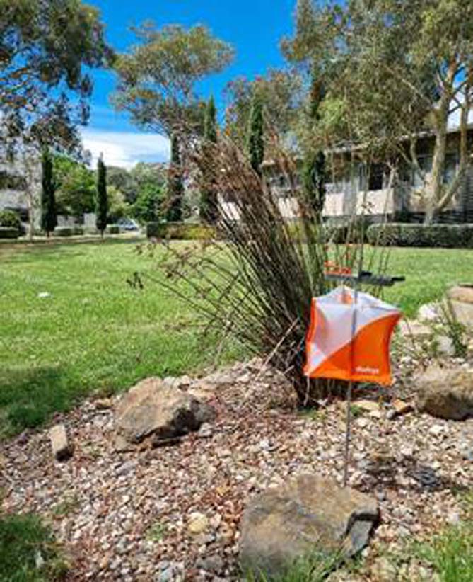 Orienteering ACT tweet media