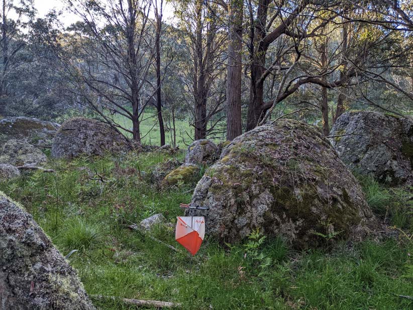 Orienteering ACT tweet media