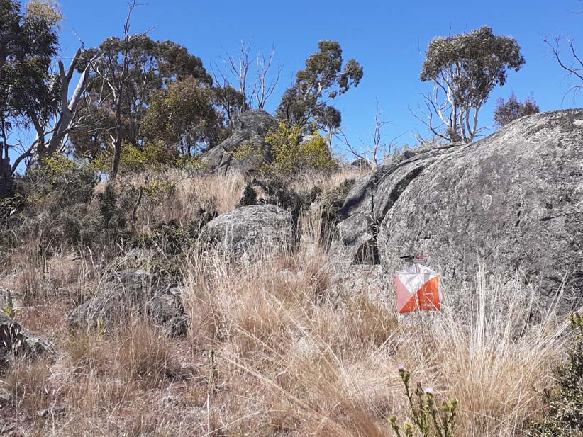 Orienteering ACT tweet media
