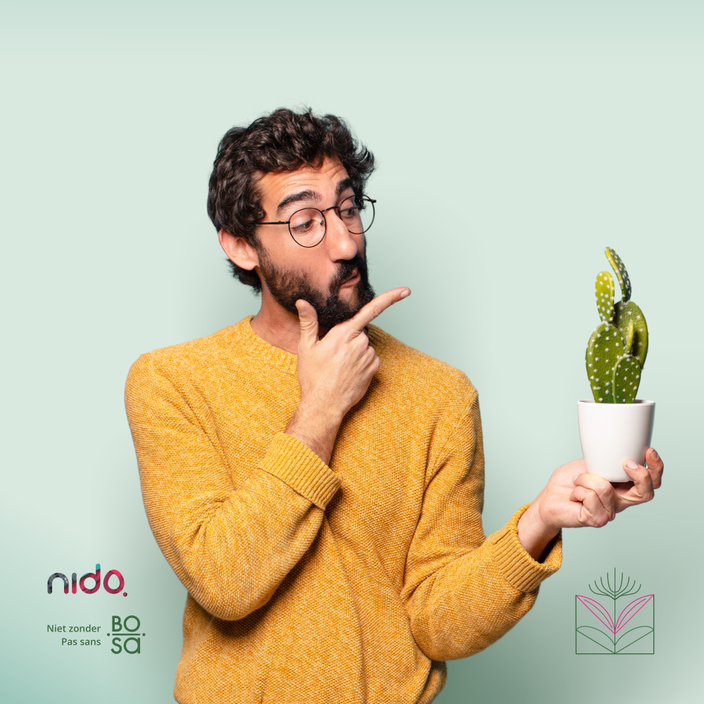 FOD/SPF BOSA tweet media