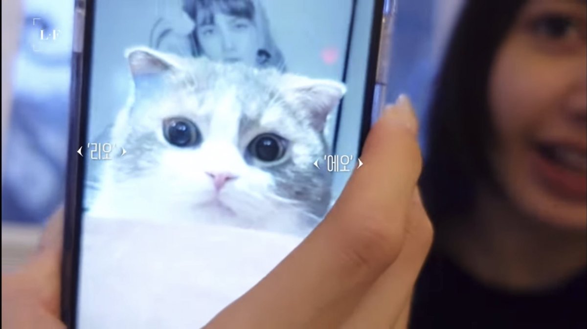 🐾mother's love is always the best😻