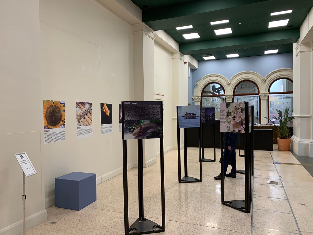 alexanderboyds's tweet photo. Exhibition display stands and wall vinyls we produced and installed in Royal Avenue, Belfast for QUB - School of Mathematics and Physics 

At ABD, we can assist you with design, fabrication and construction of print solutions custom to your event or brand! 🙌 https://t.co/grzvWqnQEh