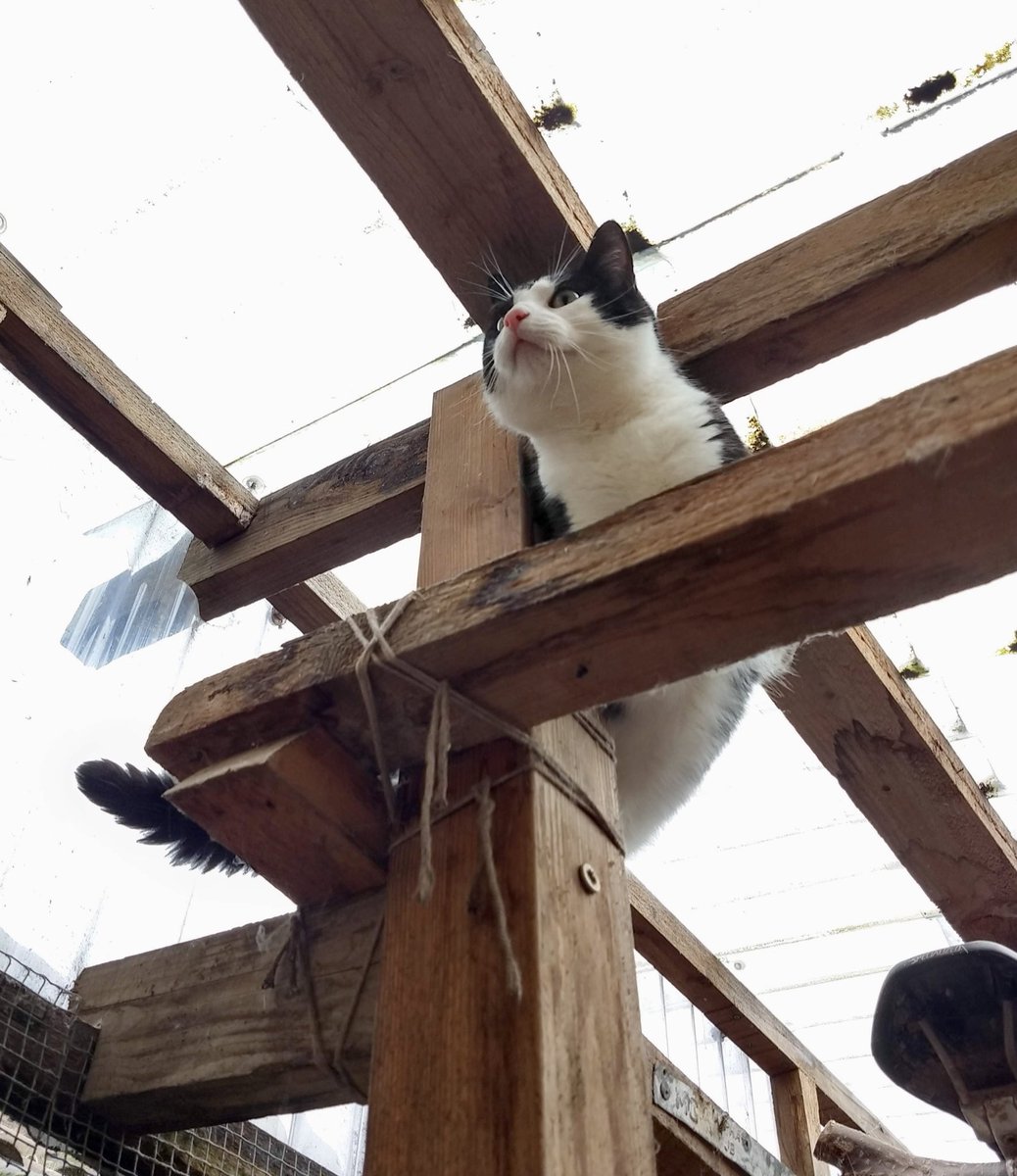 Exploring up high… Happy Jellybelly Friday from Milo!