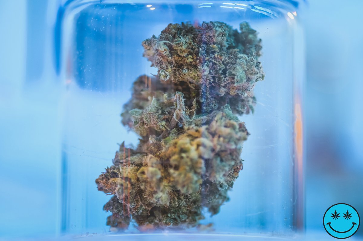 cloudninethai's tweet photo. 💙Come and check out our coolest Cannabis strains in Bangkok that will ice even the most hardened stoner😜

☁️We update our live menu because we always keep it cool, fresh and funky🧊

🕒 Open Hrs: 10:00AM -> 2:00 AM🕛
📌221 Sukhumvit Road, Bangkok📌

https://t.co/w6q0Lmr7Sc https://t.co/PFbLaT2l0r