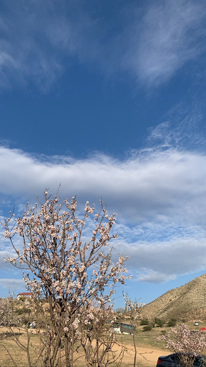 Payam_Barwari's tweet image. #SpringVibe 🌸🤍