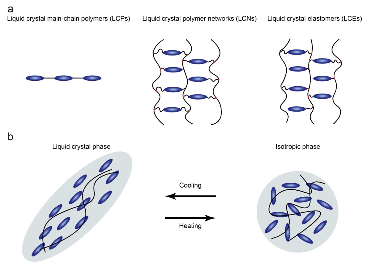 Molecules_MDPI's tweet image. 📌#liquidcrystalelastomer #smartmaterial #softrobot #actuator
New Publication “Photothermal-Driven Liquid Crystal Elastomers: Materials, Alignment and Applications”
By: Dan Luo, et al. 
👉 mdpi.com/1420-3049/27/1…
#mdpimolecules #NewPublication