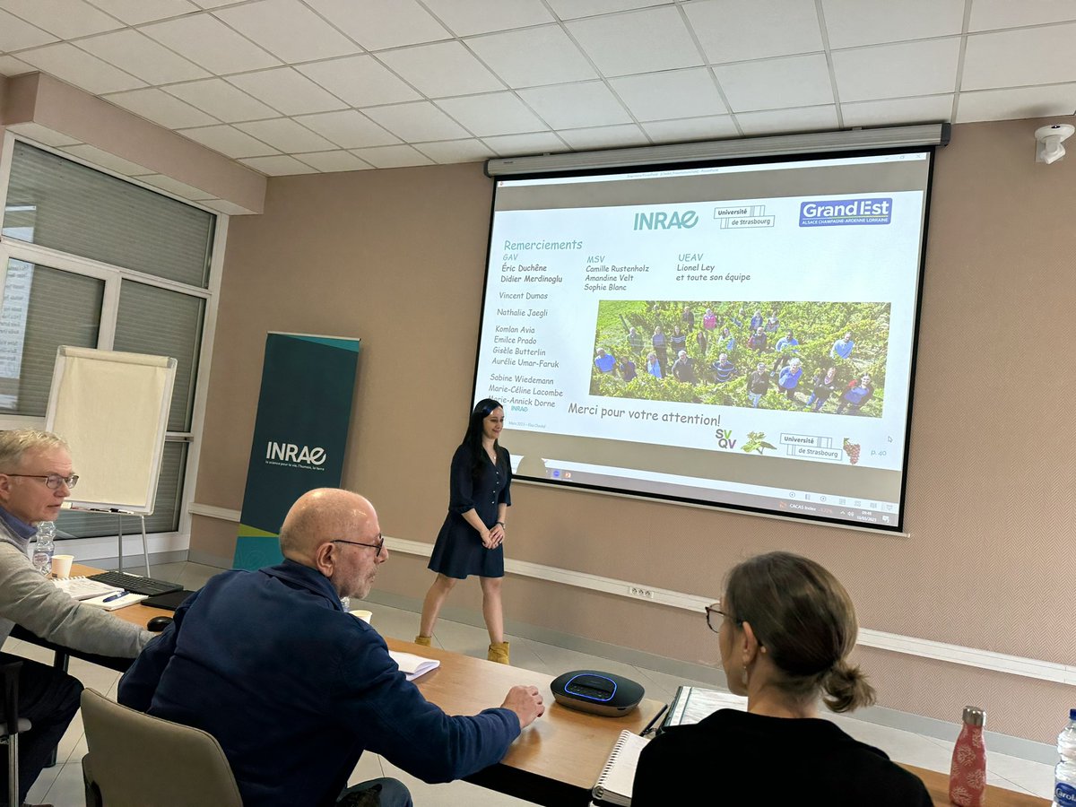 KomlanAvia's tweet photo. Soutenance de thĂšse dâElsa Chedid dans lâĂ©quipe GAV de lâUMR SVQV sur "Aptitudes agro-Ćnologiques des hybrides interspĂ©cifiques complexes de vigne : incidence des rĂ©gions gĂ©nomiques issues des espĂšces du genre Vitis".
@INRAE_Colmar @INRAE_France #Vigne #Vitis #ResDur
Bravo Elsa! https://t.co/9yg5OAvktE