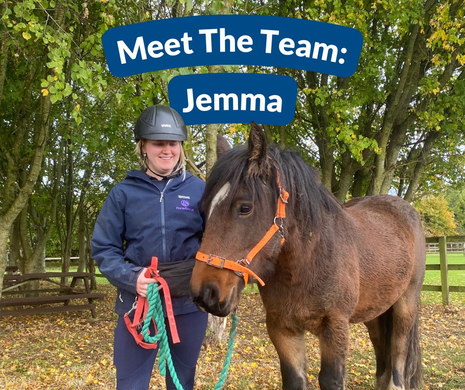 Meet the HorseWorld Team💙🐴

Take time to meet HorseWorld's Rehabilitation Groom, Jemma. Watch as she talks about the different horses she works with everyday and find out who her favourite is... But you can't tell the others!🤫 Watch here: bit.ly/MeetJemma

#HorseCharity