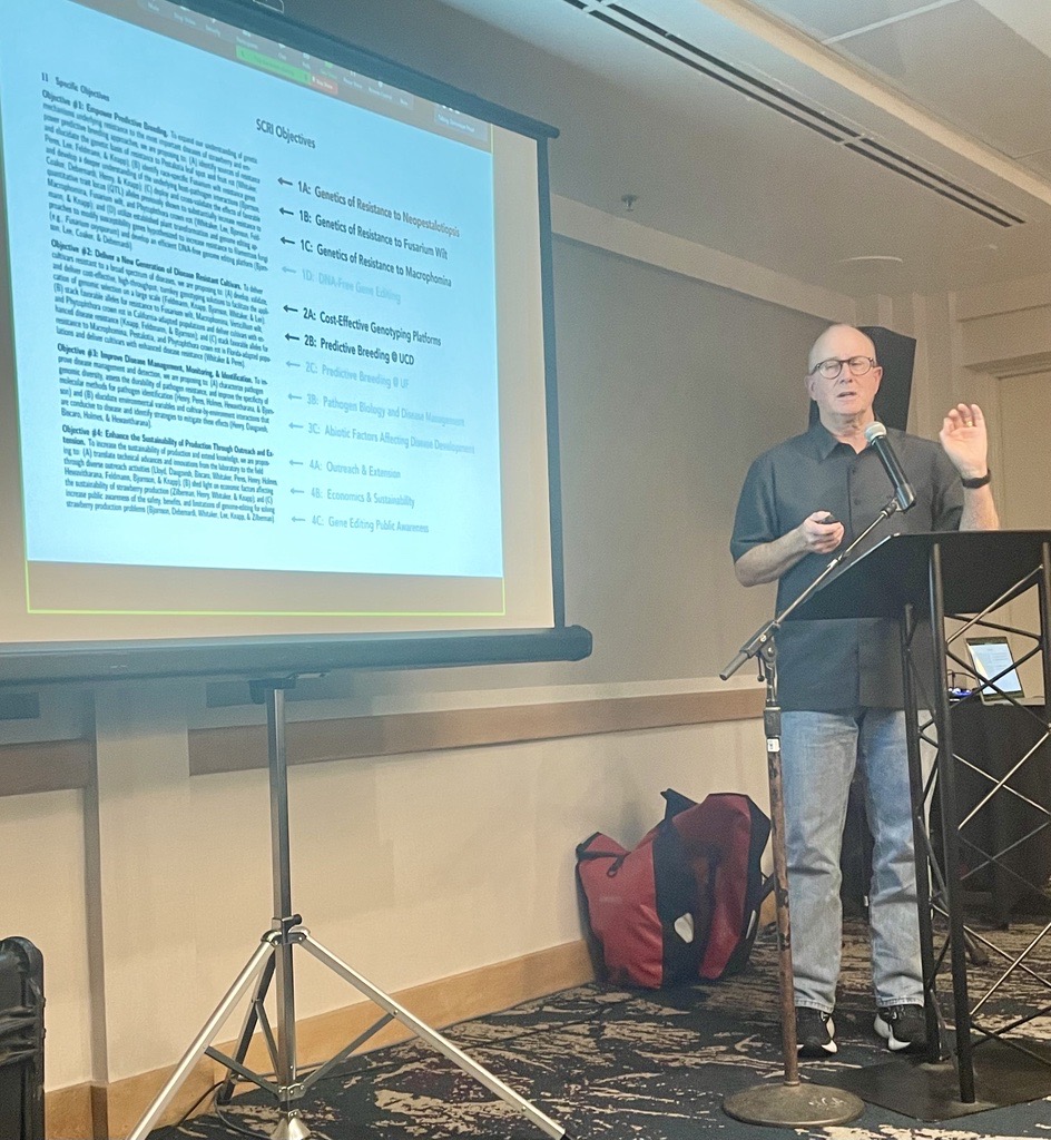 globalplantgen's tweet photo. This week our team attended the #NorthAmericanStrawberryGrowersAssociation conference at San Luis Obispo, #SouthernCalifornia. 

 It was great to see so much quality data presented by the #UCDavis on the new varieties and underpinned by #WorldClassScience.

 #Strawberry #Berries https://t.co/yOCPV4MzhP