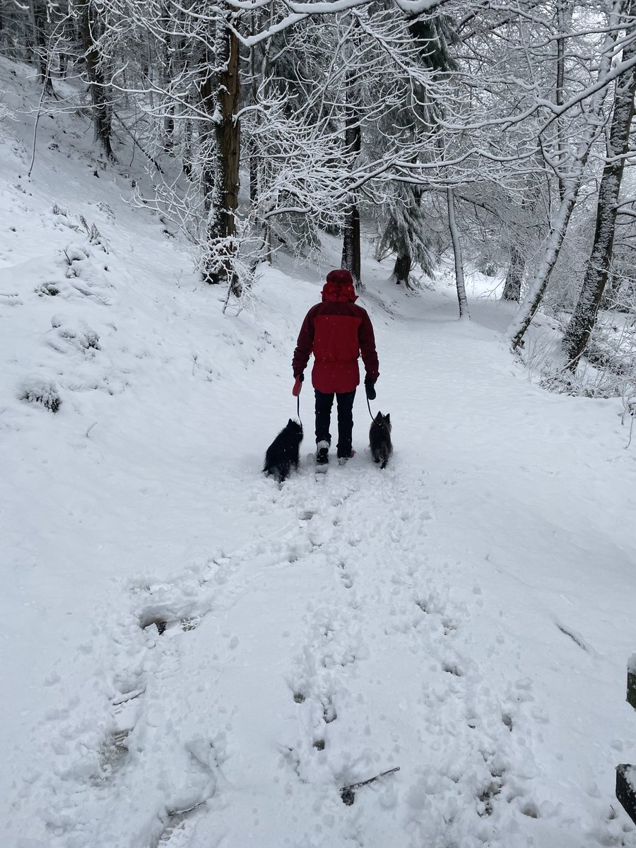 juniejarv's tweet image. #nantmill this morning 🏴󠁧󠁢󠁷󠁬󠁳󠁿❄️