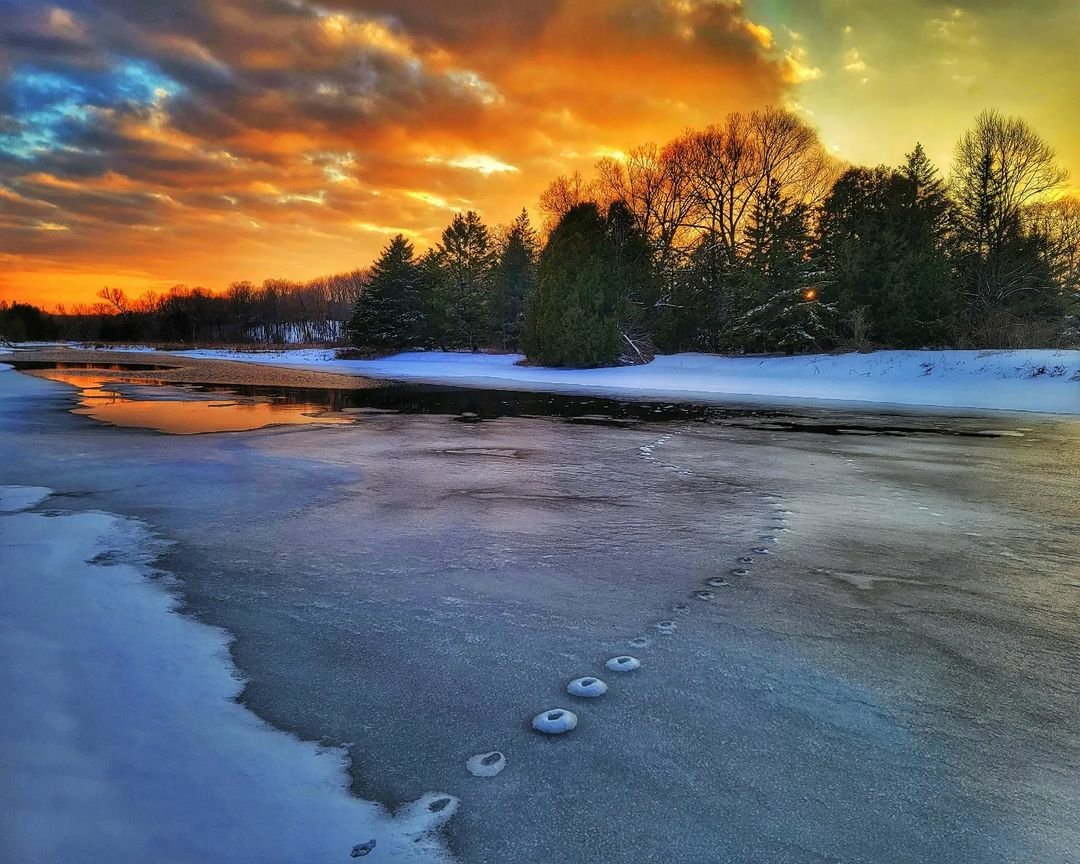 kawarthaNOW's tweet photo. Good Friday morning our #kawarthapeeps from Kirk Hillsley in Millbrook.  Follow the photographer Kirk Hillsley on Instagram at 
https://t.co/4lPnWLb2CQ

#millbrooksunset #millbrook #millbrookON #cavanmonaghan #ptbocounty #ptbokawartha #winterinthekawarthas #thekawarthas https://t.co/Mo6DnZl1Ll