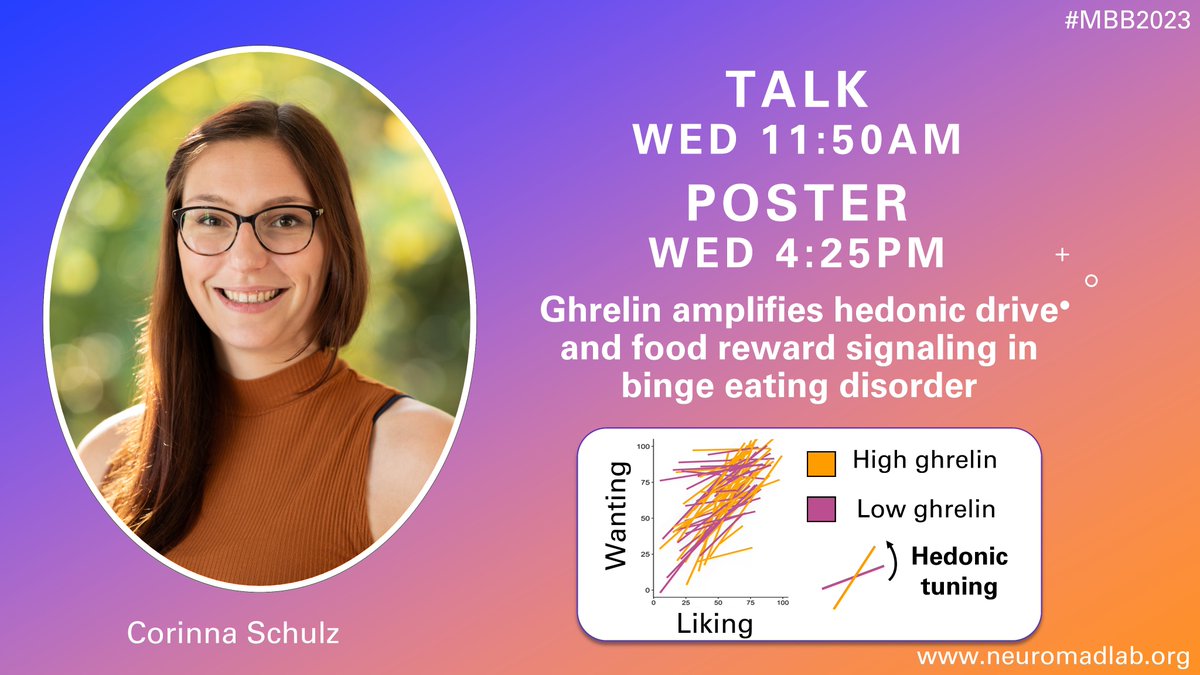 neuroMADLAB tweet media