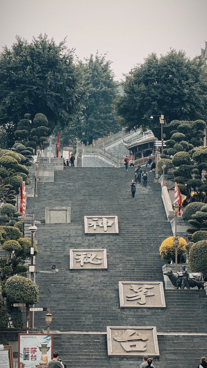 济南泉城爱熊叔 tweet media