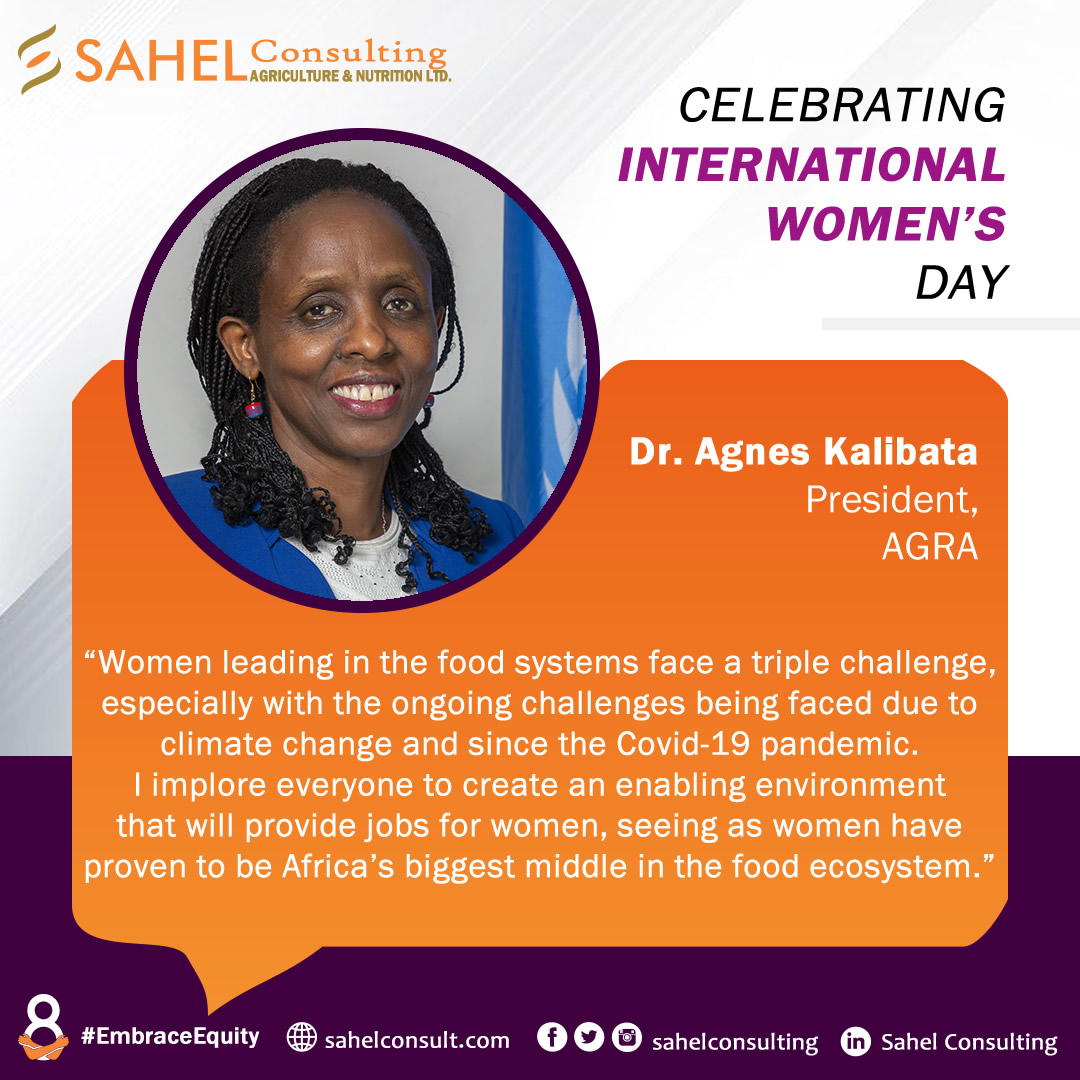 sahelconsulting's tweet photo. Thank you, Dr. @Agnes_Kalibata for sharing valueable insights at the IWD/LAFF launch.
------
To watch the webinar click on the link here - https://t.co/5fntuqQWt8
@AGRA_Africa @ndidiNwuneli @CLNakalembe 
#IWD2023 #embraceequity #event #network #leaders #change #africa #food https://t.co/dHHgfH246B