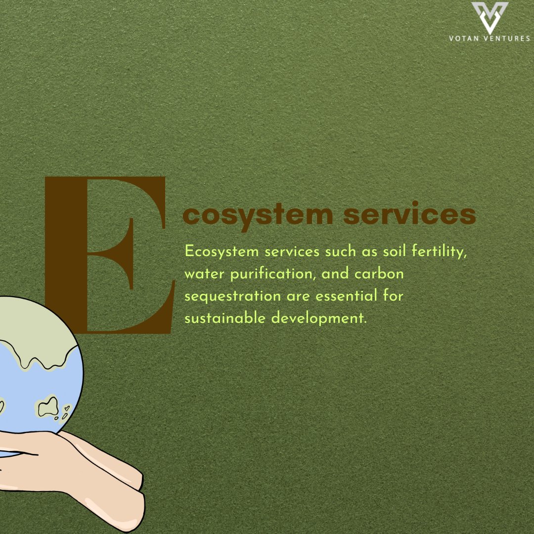 votaneco's tweet photo. Recognizing the value of ecosystem services with Votan Ventures' commitment to sustainable development, promoting soil fertility, water purification, and carbon sequestration.
.
.
#votanventures #vchained #netzero #climatechange #sustainability #climateaction #renewableenergy https://t.co/NGjPM5FAz6