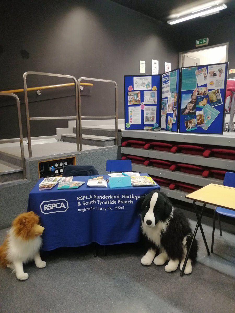 Careers day today at Hartlepool Sixth Form talking all things RSPCA! #h6fccareers23