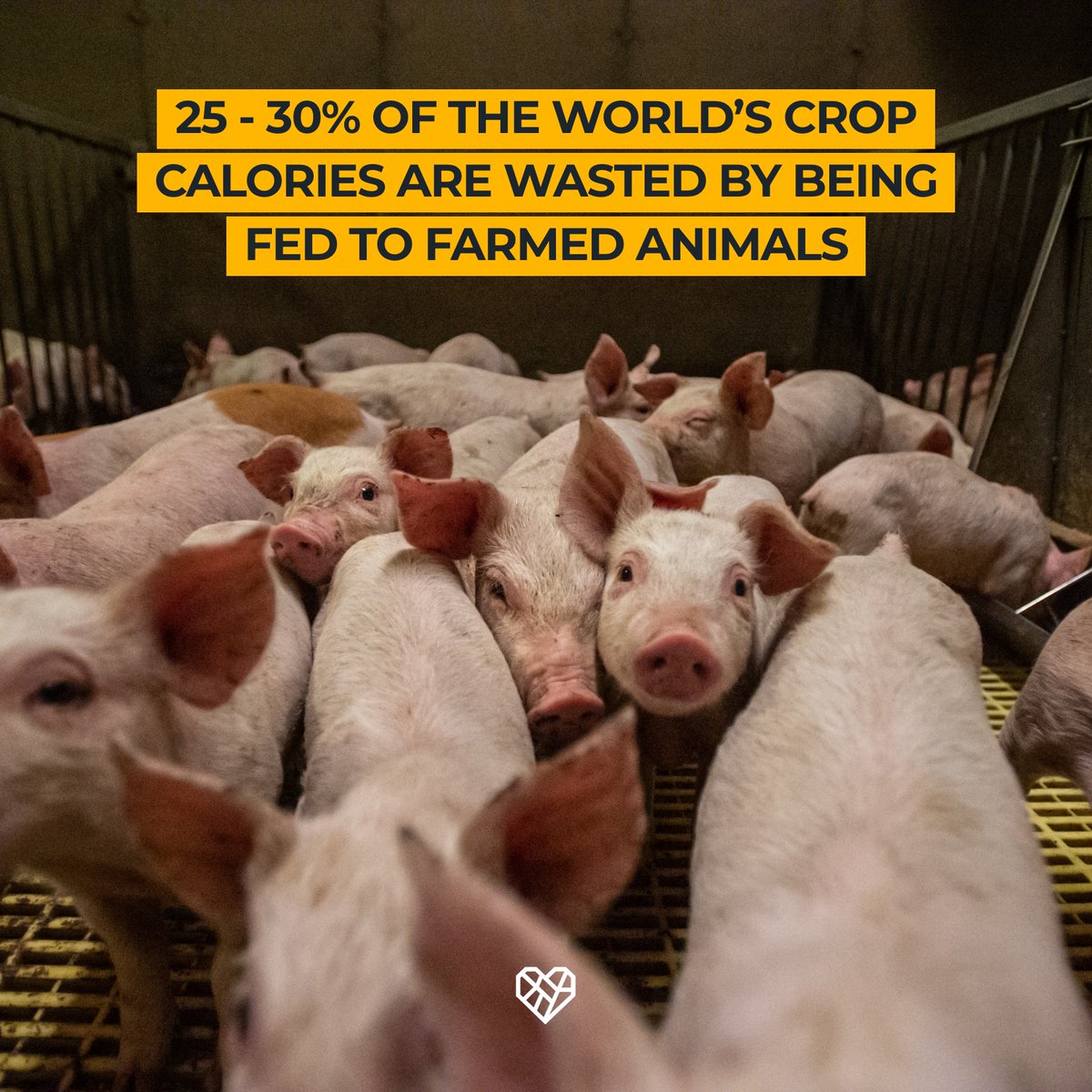 It's time to face the facts, animal agriculture is not sustainable. #Foodwasteactionweek