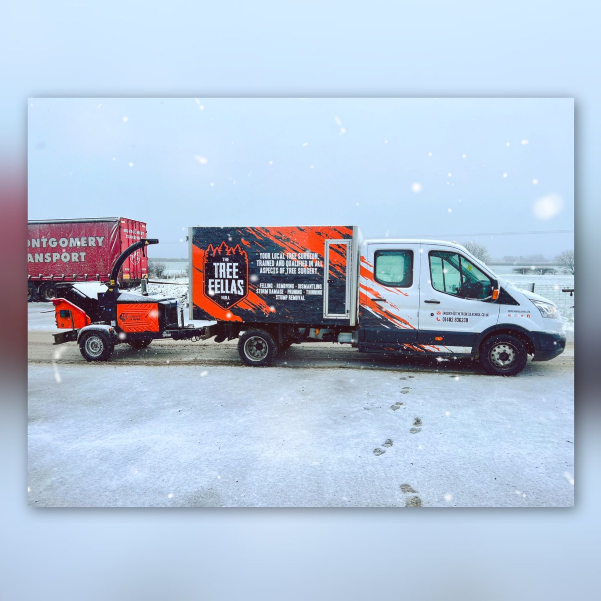 The Tree Fellas Hull Ltd tweet media