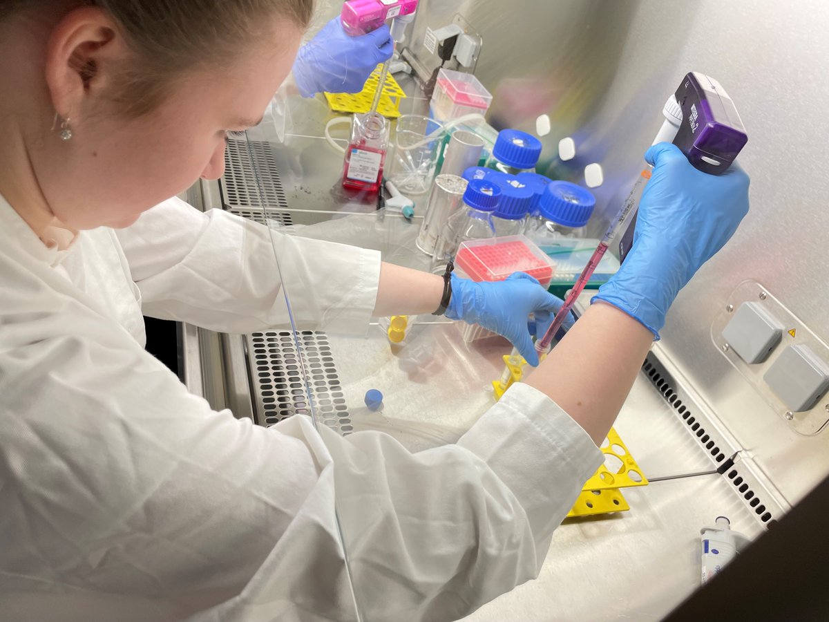 OlmerLab tweet media