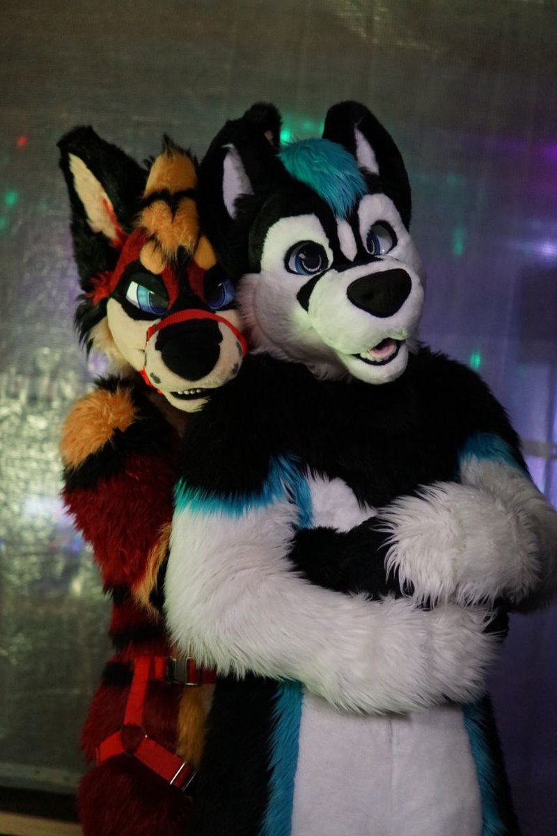 Panchi π Furry Galaxy π2-Dance πBFLCπ Furrizon (@panchi_wolf) on Twitter photo I found and caught this cute <a href="/NebraskaHusky/">Nebraska Husky</a> at Archers birthdayparty.
What should I do with him?
πͺ‘: <a href="/Zuri_Studios/">Zuri Studios</a> / <a href="/FursuitParade/">Fursuit Parade</a>
π·: Aero
π: <a href="/ArcherWoofi/">α΄Κα΄Ι΄Ι’α΄ β¨</a> βs bithdayparty
#FursuitFriday #furry #furryfandome #party #furries #birthday I found and caught this cute <a href="/NebraskaHusky/">Nebraska Husky</a> at Archers birthdayparty.
What should I do with him?
πͺ‘: <a href="/Zuri_Studios/">Zuri Studios</a> / <a href="/FursuitParade/">Fursuit Parade</a>
π·: Aero
π: <a href="/ArcherWoofi/">α΄Κα΄Ι΄Ι’α΄ β¨</a> βs bithdayparty
#FursuitFriday #furry #furryfandome #party #furries #birthday