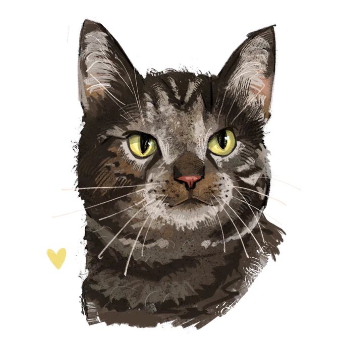 Recent pet comms  