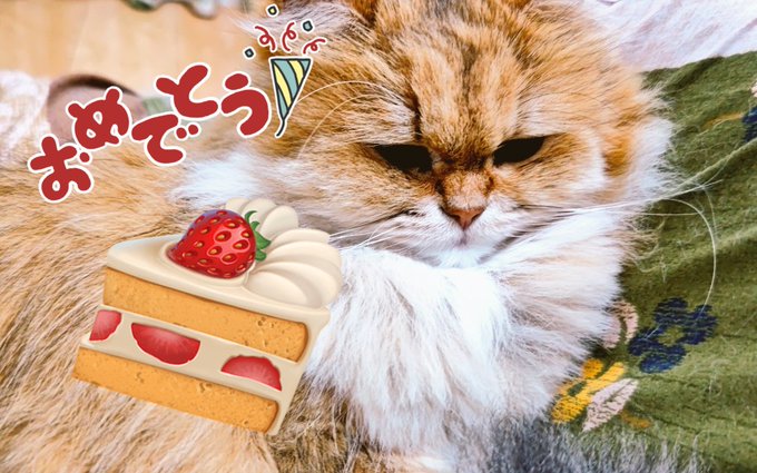 「ショートケーキ」のTwitter画像/イラスト(人気順｜RT&Fav:50)｜15ページ目