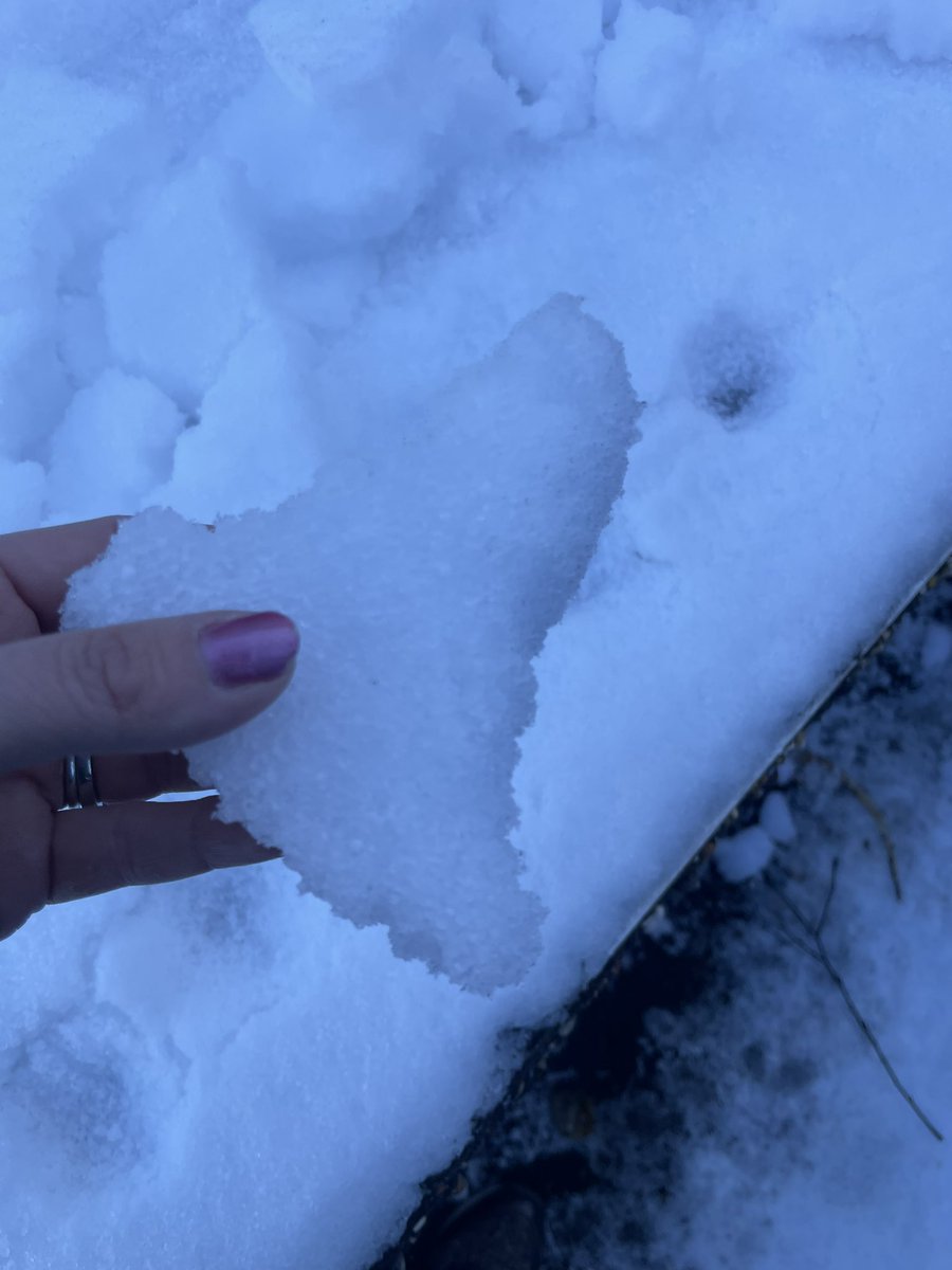 KirstenElder's tweet photo. 40 minutes to clear the car of snow this morning . Thanks to my neighbour for the salt grit that cleared my path #snow #snowpics #ards #northdown #codown #newtownards https://t.co/uwA6eXYi6m