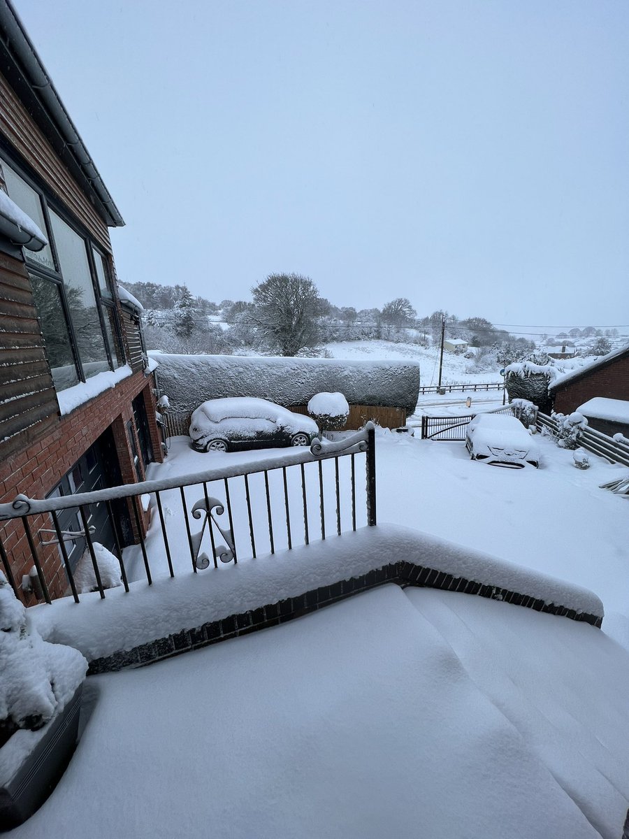 Tint School tweet media