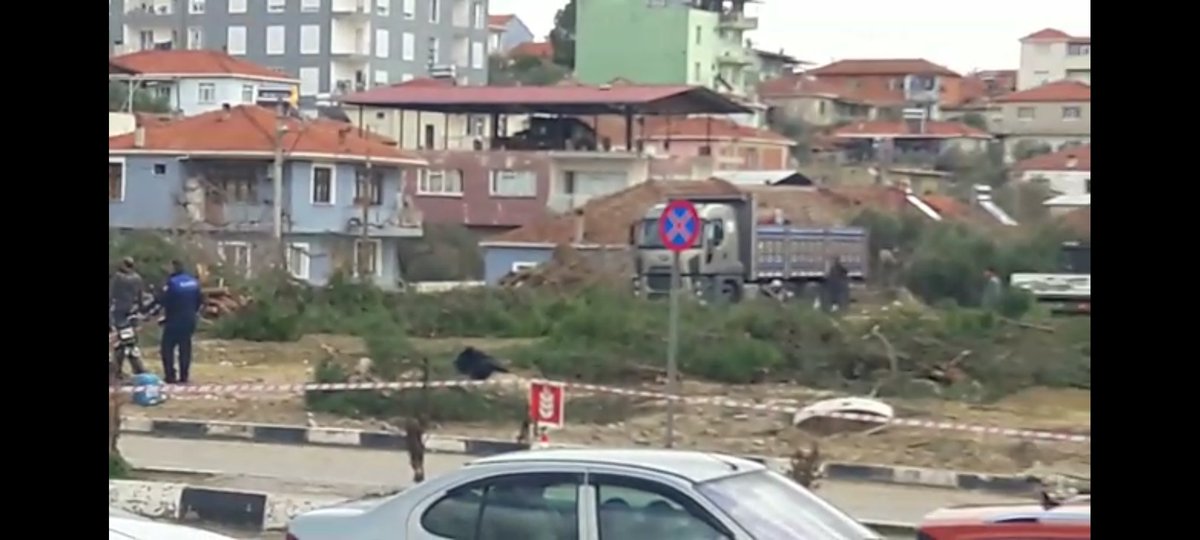 Köprübaşı'ndaki ağaçları kesmeyelim sayın Belediye yetkilileri. 50-60 yıllık çam ağaçları..
<a href="/koprubasibld45/">Köprübaşı Belediyesi🇹🇷</a>