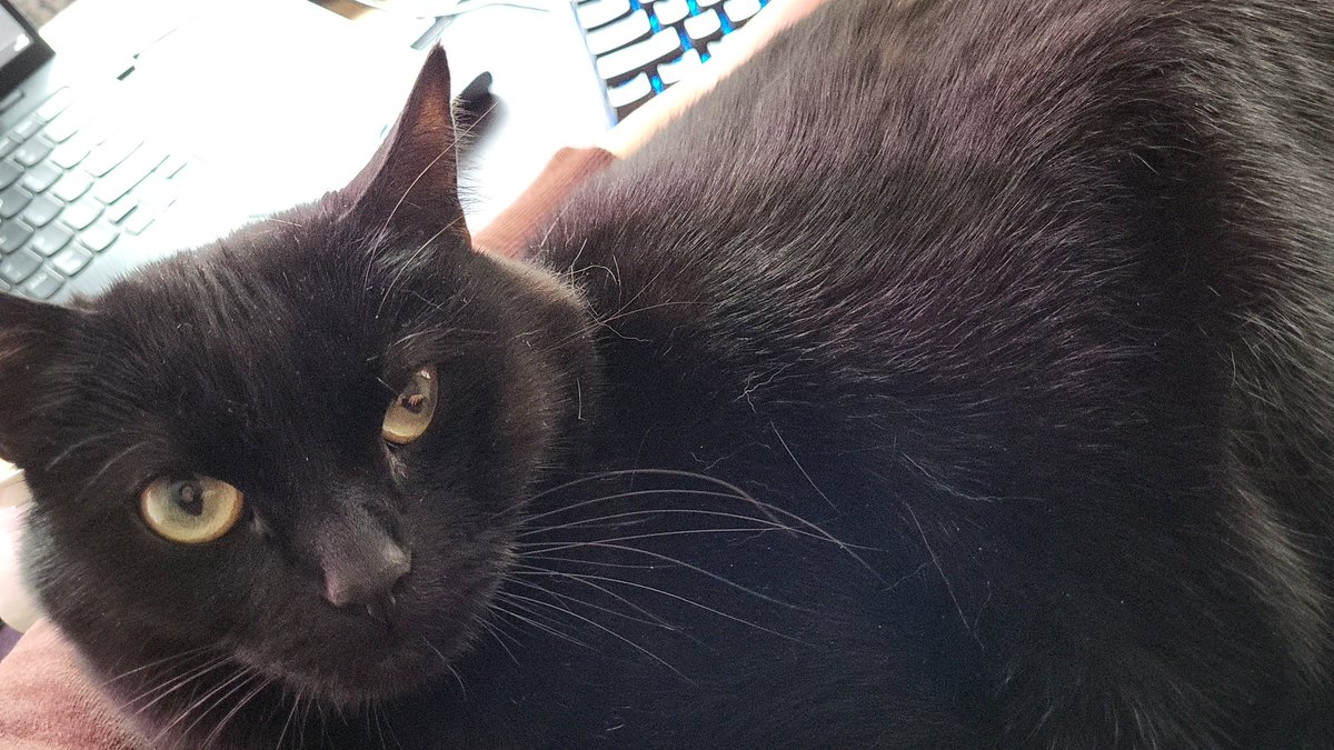 Someone really doesn't want me to work today...