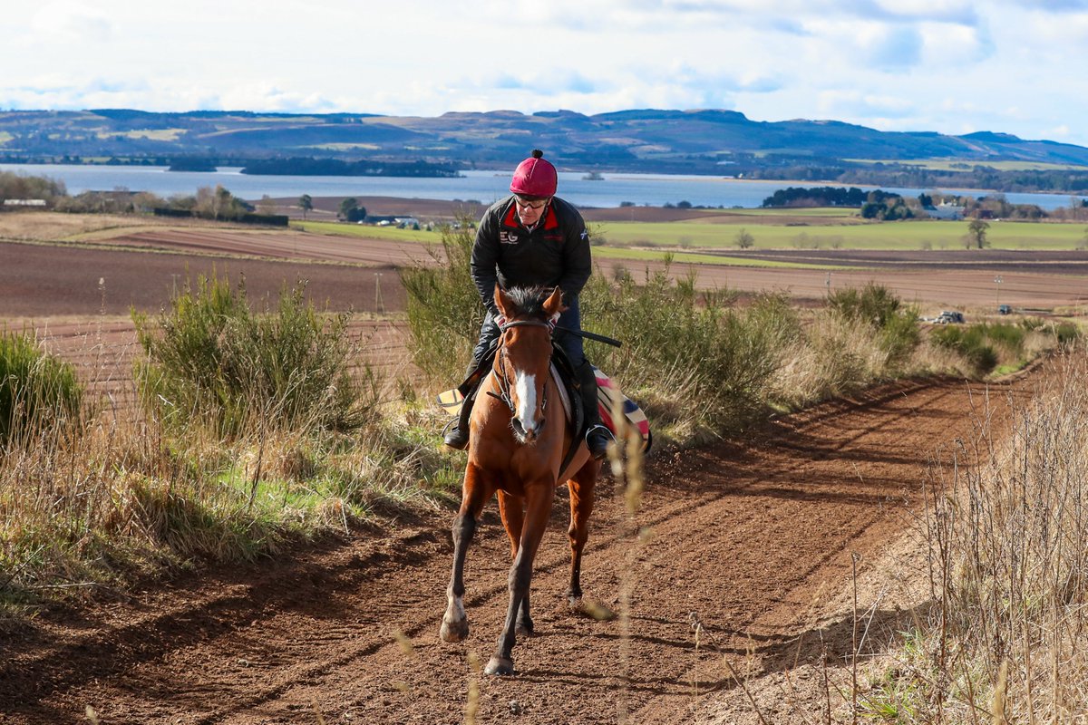 CheltenhamRaces's tweet photo. "If Corach Rambler wins it’s a personal thing because Scu does so much with him...

... but if Ahoy Senor wins it’s about everything that we believe in at the yard."

A trip to @lucindavrussell 🏴󠁧󠁢󠁳󠁣󠁴󠁿

📰 https://t.co/NZtOFLx7y9 https://t.co/ISA6Fd2HSM