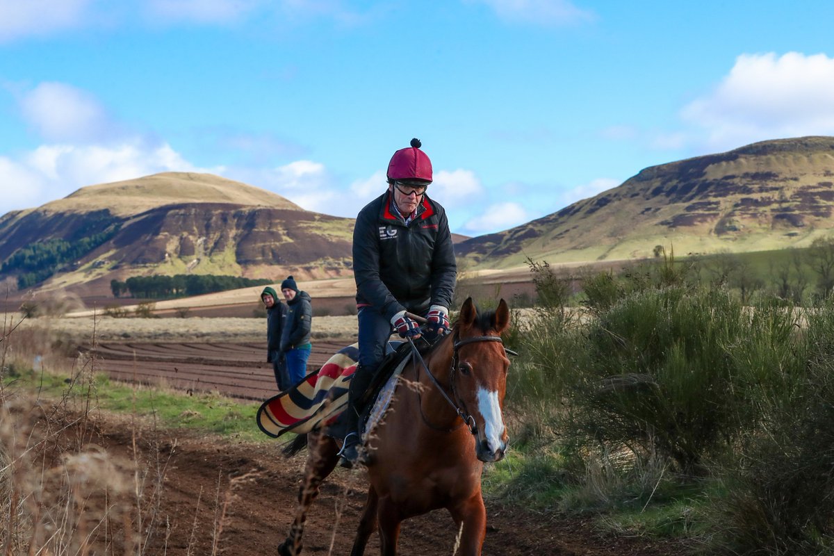 "If Corach Rambler wins it’s a personal thing because Scu does so much with him...

... but if Ahoy Senor wins it’s about everything that we believe in at the yard."

A trip to <a href="/lucindavrussell/">lucinda russell</a> 🏴󠁧󠁢󠁳󠁣󠁴󠁿

📰 bit.ly/LRussell2023