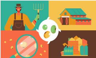 ‼️¿Quieres conocer los resultados del <a href="/GoInpulse/">GO_INPULSE</a>?
📽️En este breve #vídeo te explicamos qué hemos conseguido en el proyecto 
#Leguminsosas #AlimentaciónAnimal
youtube.com/watch?v=M_xwBf…