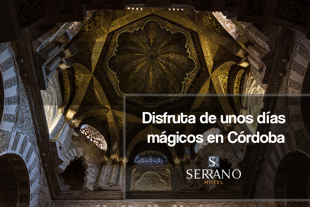 HotelSerrano_C's tweet photo. Disfruta de unos días increibles en nuestro hotel 🥰😍

#Córdoba #VisitaCórdoba #Cultura #Museos #MezquitaCatedral #Turismo #Vacaciones #Viajar #Andalucía https://t.co/ychcCptzOV