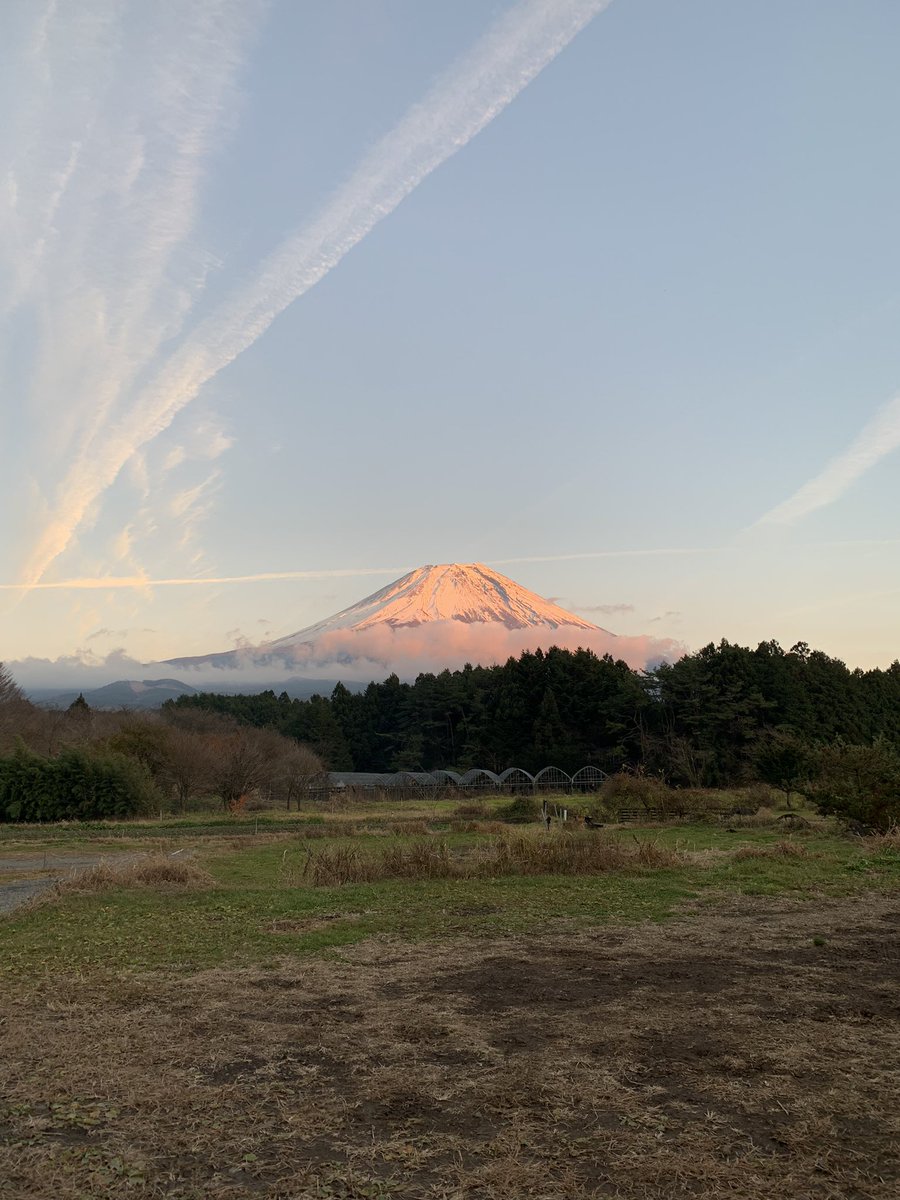trxprince's tweet photo. 未だにケムトレイルさえ知らない人が多いのには驚いた富士山キャンプ場
快晴の青空に縦横連なる変わった雲を人々が見て、
うわぁー❣️すごいー❣️👏
と歓喜の声😓
これ雲じゃない‼️
✈️から撒かれた有毒物質ですよ😡と教えると
楽しいキャンプに水刺されたみたいにシュン😣とした顔してた
🇯🇵アホばっか https://t.co/J1kBj2b4dM