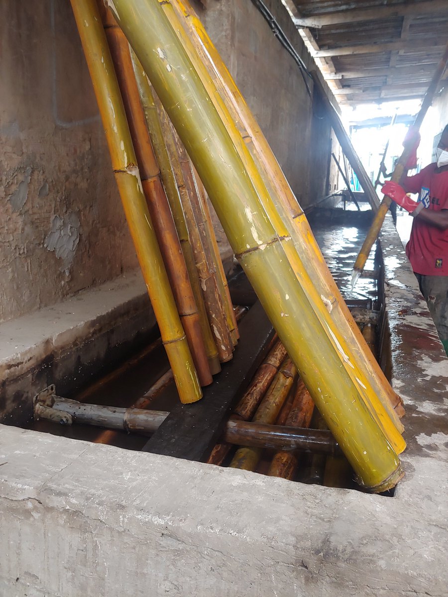 ChangEmmanuel's tweet photo. Treated Bamboo. Call or WhatsApp 0249186859 https://t.co/J2Y7TFY7mc