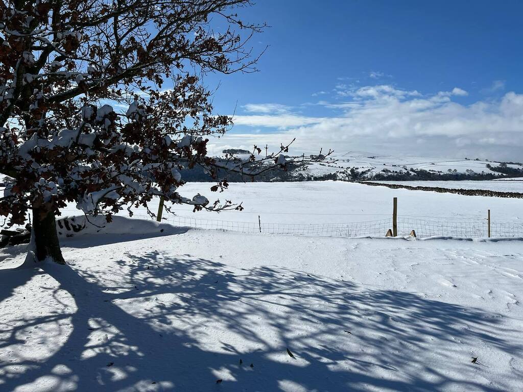 SuePrinceArtist's tweet photo. I’m obsessing about #snowshadows #sunnysnowday
.
.
.
#snowday #sunonsnow
#lookingforward #folkartist #studioonafarm #peakdistrictnationalpark #staffordshire #derbyshire #haybarngallery #opentovisitors #eggtempera #eggtemperafolkart #eggtemperapainting #yearout #evaluating… https://t.co/i9JW1SxCKc
