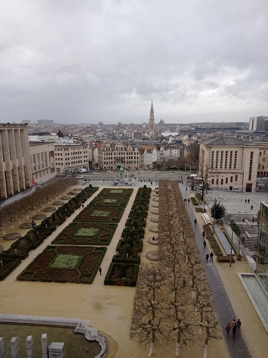 Laura Crucianelli tweet media