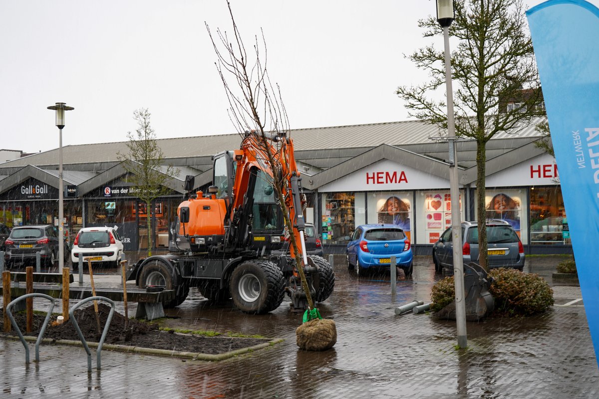 Deze week plantten wethouder Dolf Kistemaker en zwemster Femke Heemskerk een boom op het Noordplein in Roelofarendsveen. Dit deden zij vanuit een initiatief van Stichting Blauwe Zone Kaag en Braassem om lokale topsporters in het zonnetje te zetten.