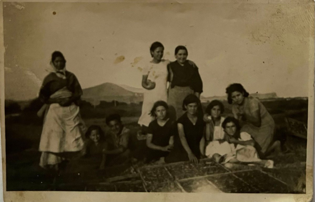 Museo Virtual de la Mujer Combatiente tweet media