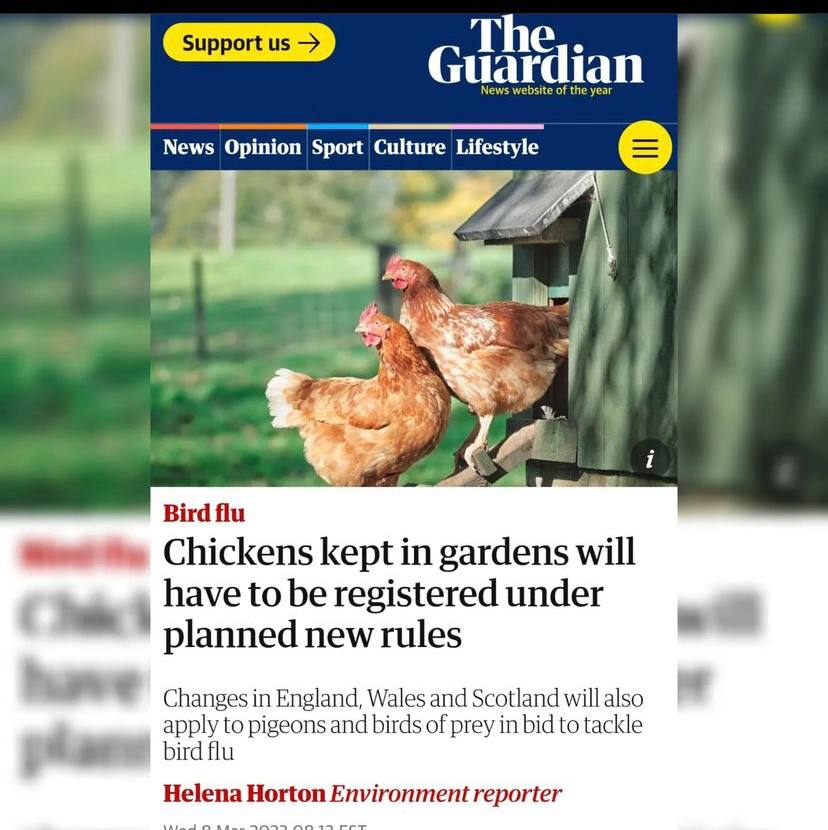 BhumiPutra on Twitter "RT AimHardoi ⭕️ The H5N1 Avian “Bird” Flu is a giant scam brought to