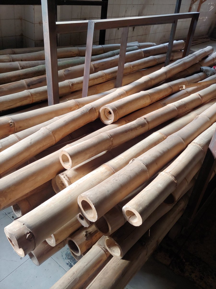 ChangEmmanuel's tweet photo. Treated Bamboos for both local purchase and shipment across the globe. Call or WhatsApp 0249186859 https://t.co/v0ME3OKSvQ