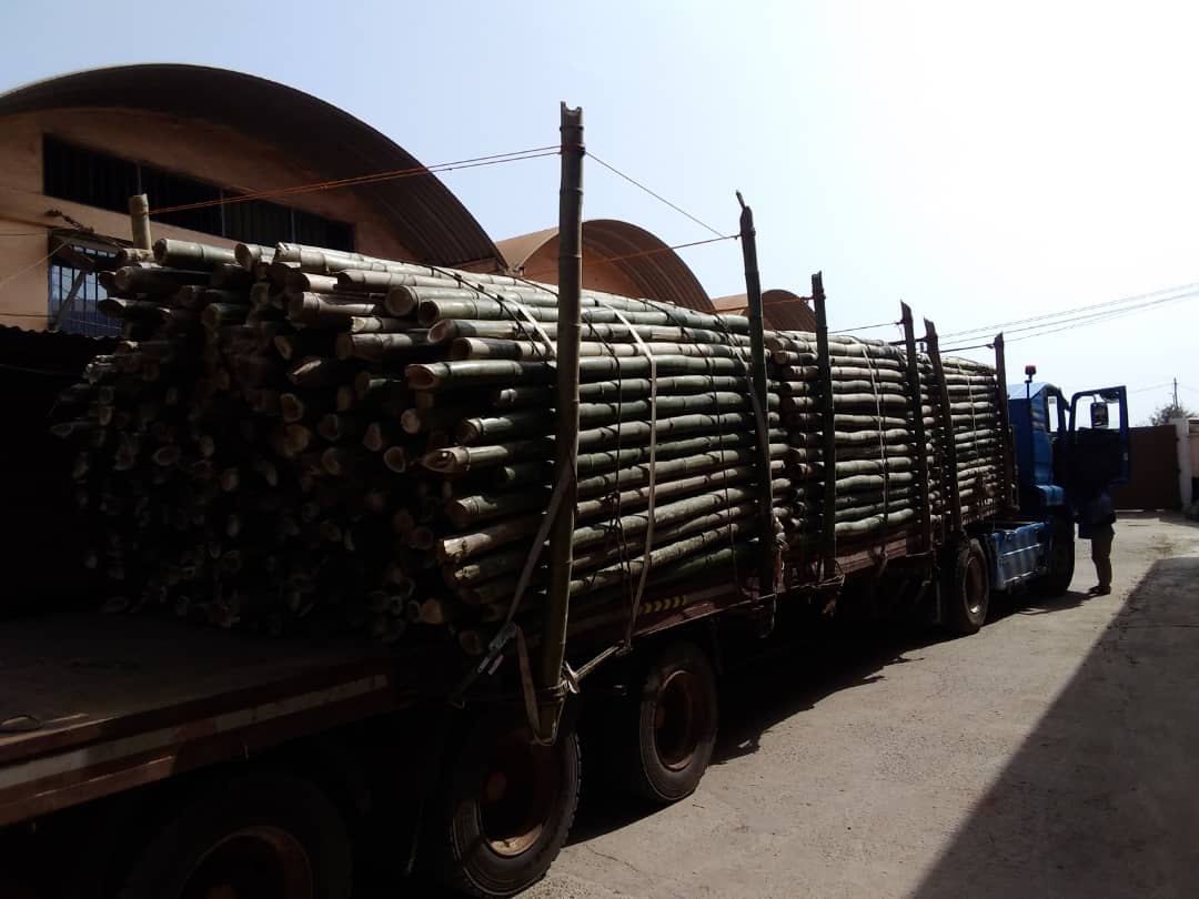 ChangEmmanuel's tweet photo. Treated Bamboos for both local purchase and shipment across the globe. Call or WhatsApp 0249186859 https://t.co/v0ME3OKSvQ