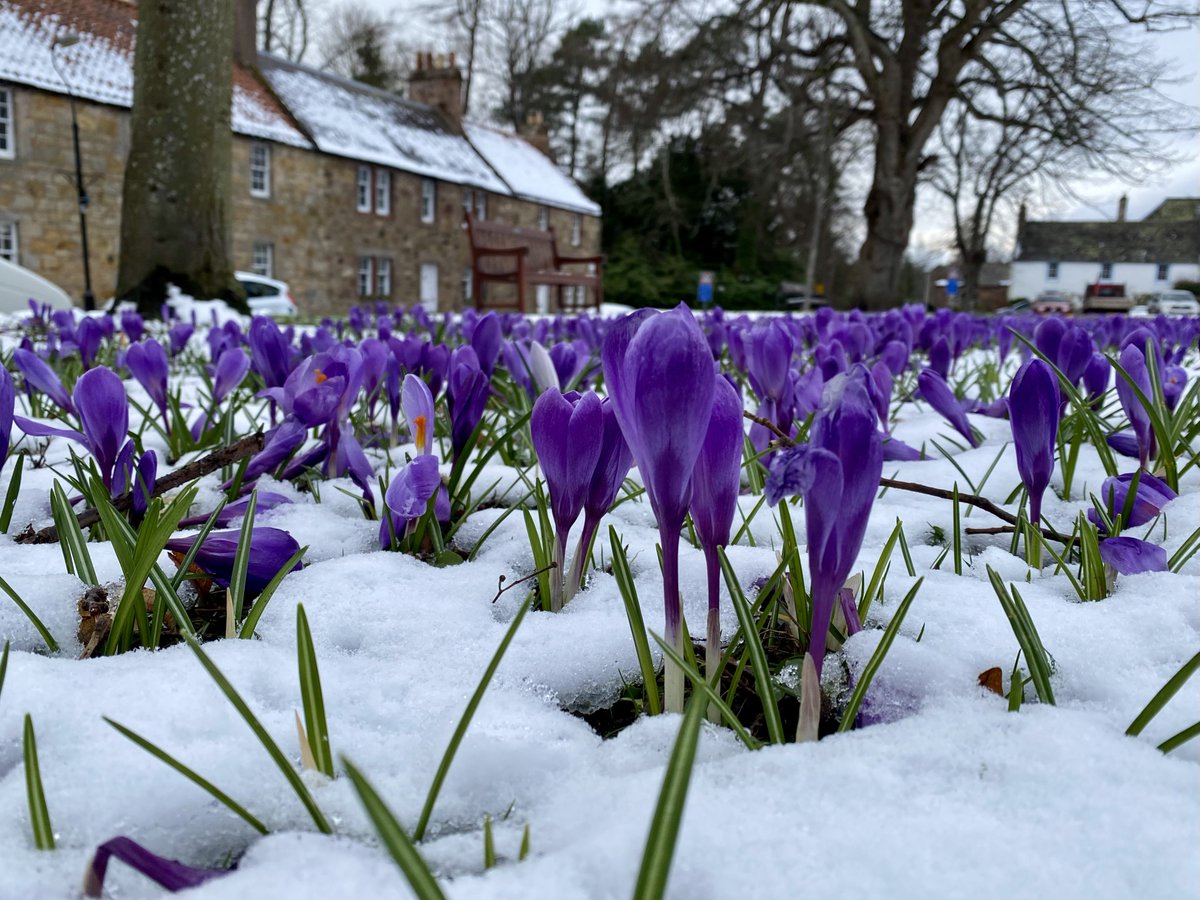 Spring vs Winter ❄️