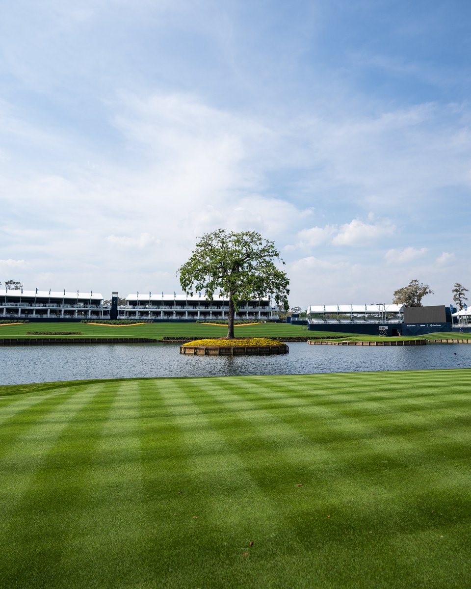ThePlayers's tweet photo. Welcome to Friday.

#THEPLAYERS https://t.co/WvUIH22LRX