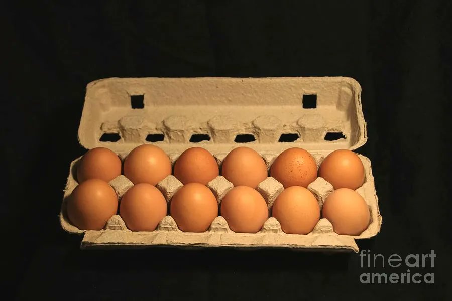 buff.ly/3Fb3oCG #eggs #fresheggs #browneggs #LadyPhotographersandArtists #BuyIntoArt #AYearForArt #dozen #carton